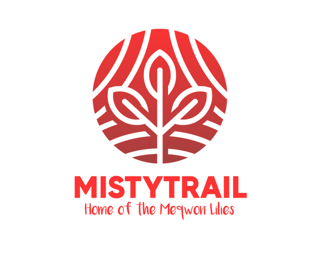 Misty Trail logo